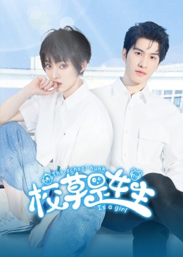 迷路2024 封面图